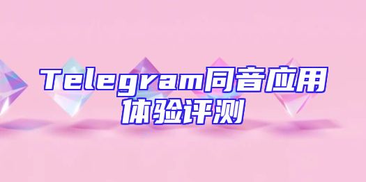 Telegram同音应用体验评测