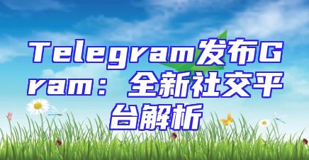 Telegram发布Gram：全新社交平台解析