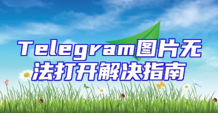 Telegram图片无法打开解决指南