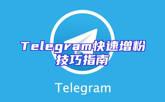 Telegram快速增粉技巧指南