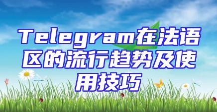 Telegram在法语区的流行趋势及使用技巧