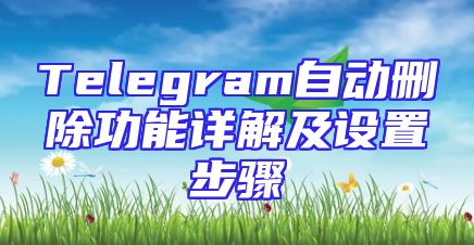 Telegram自动删除功能详解及设置步骤