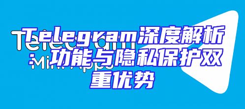 Telegram深度解析：功能与隐私保护双重优势