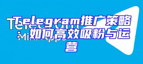 Telegram推广策略：如何高效吸粉与运营