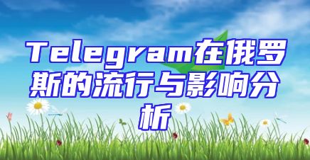 Telegram在俄罗斯的流行与影响分析